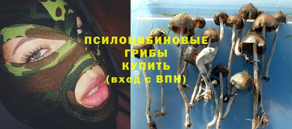 синтетический гашиш Киреевск