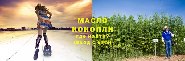 хмурый Пересвет